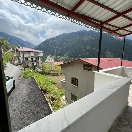 Apartment Naturellife